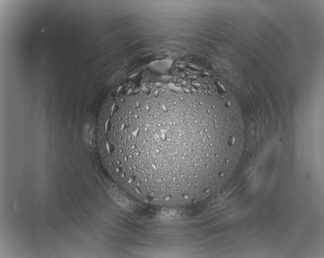 X0000073520177200608141009