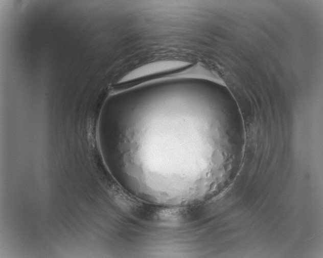 X0000073520178200608141009