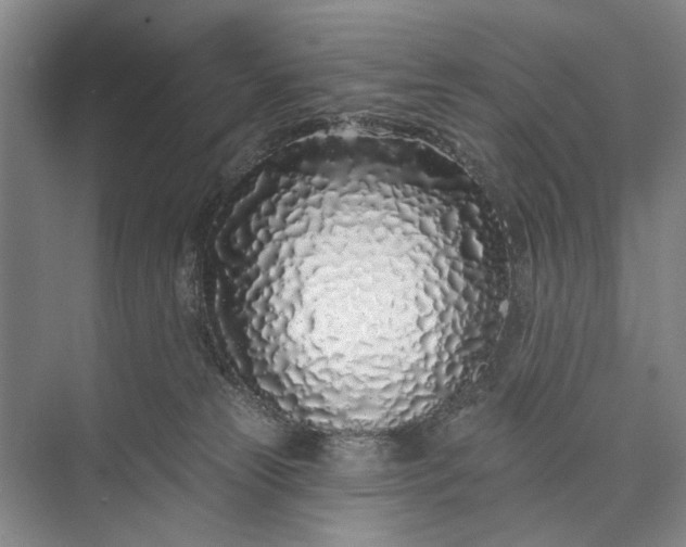 X0000073520181200608141010