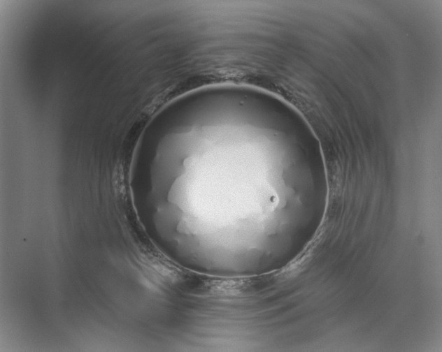 X0000073520182200608141010