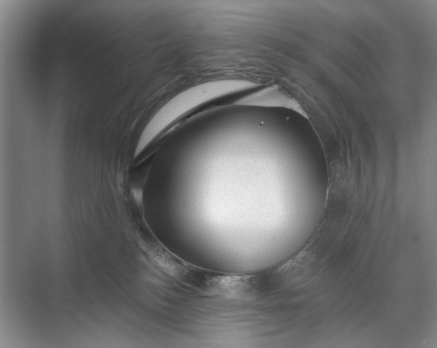 X0000073520184200608141010