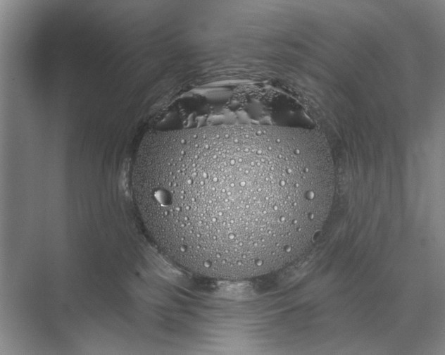 X0000073520185200608141010