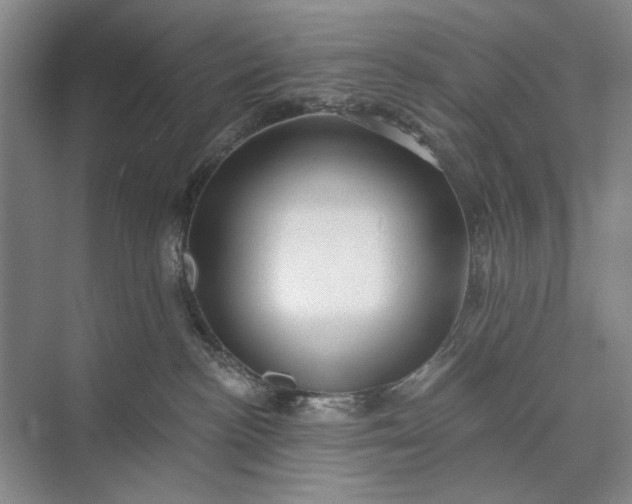 X0000073520188200608141010