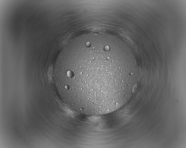 X0000073520189200608141010