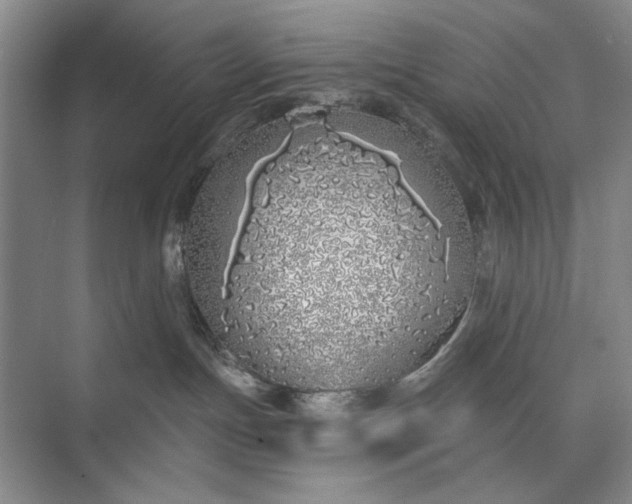 X0000073520191200608141010