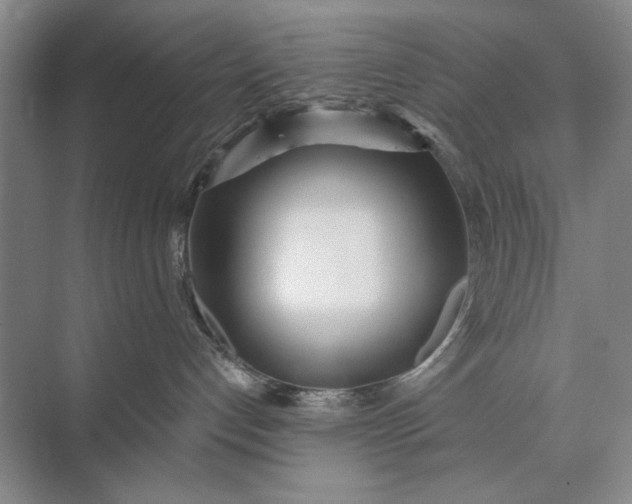 X0000073520192200608141010