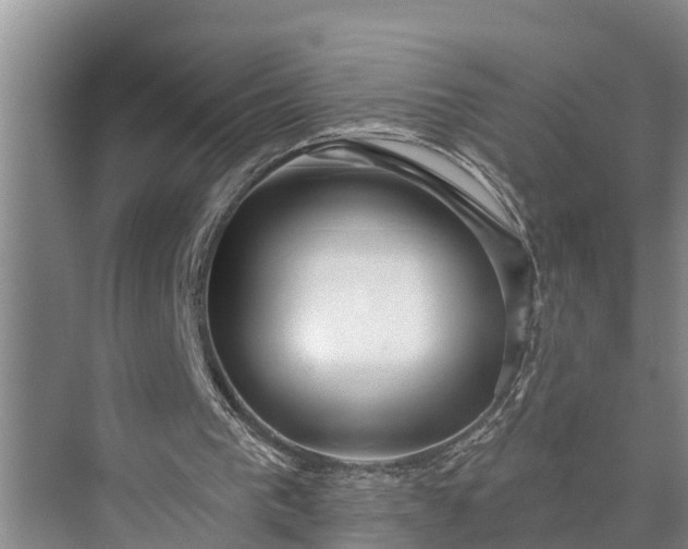 X0000073520193200608141009