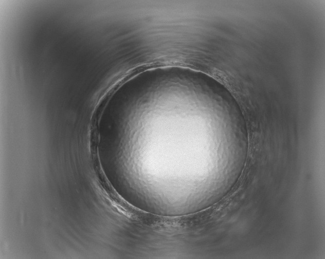 X0000073520194200608141009