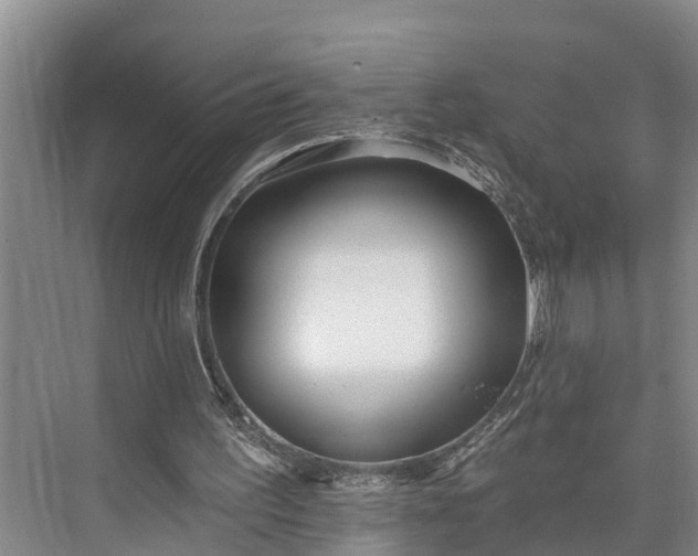 X0000073520195200608141009