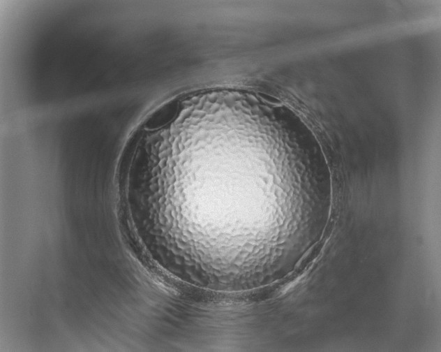 X0000073520198200608141009