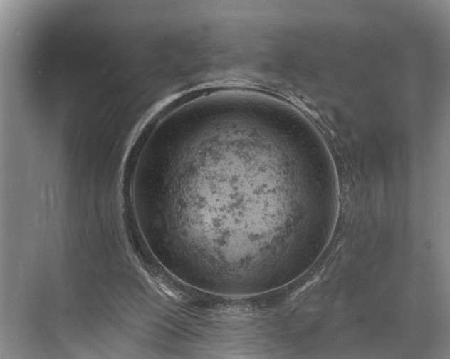 X0000073520200200608141009