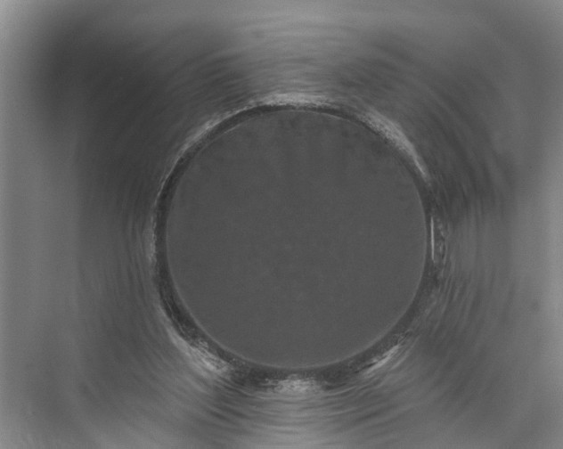 X0000073520204200608141009