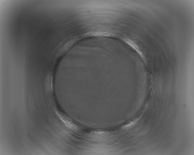 X0000073520205200608141009