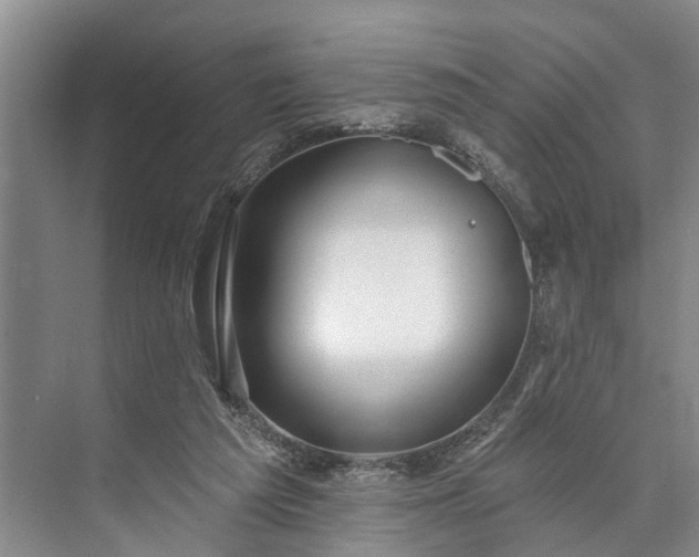 X0000073520209200608141009