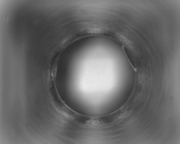 X0000073520211200608141009