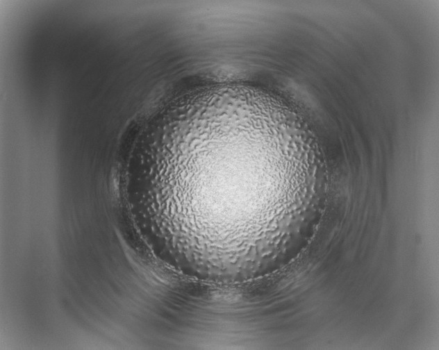 X0000073520214200608141009