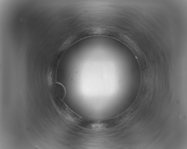 X0000073520216200608141008