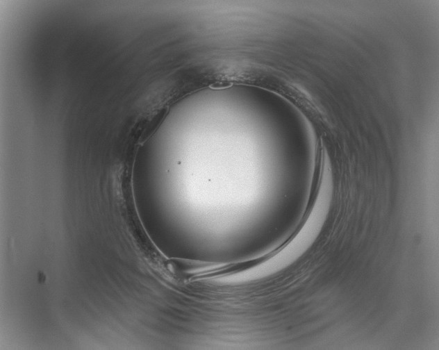 X0000073520217200608141008