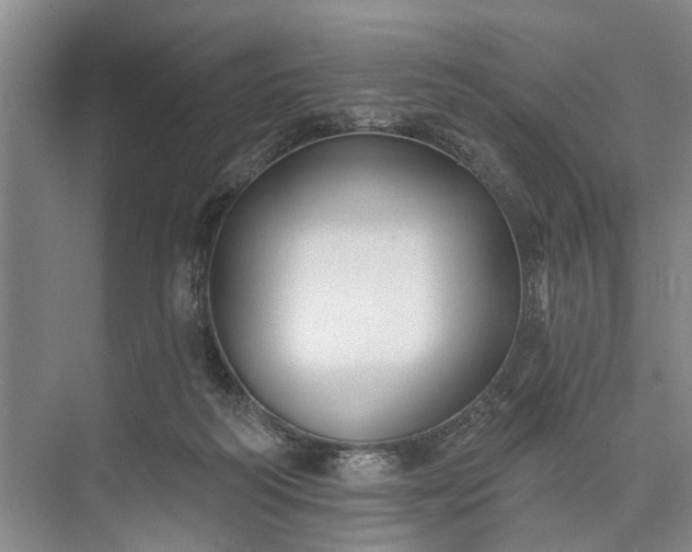 X0000073520218200608141008