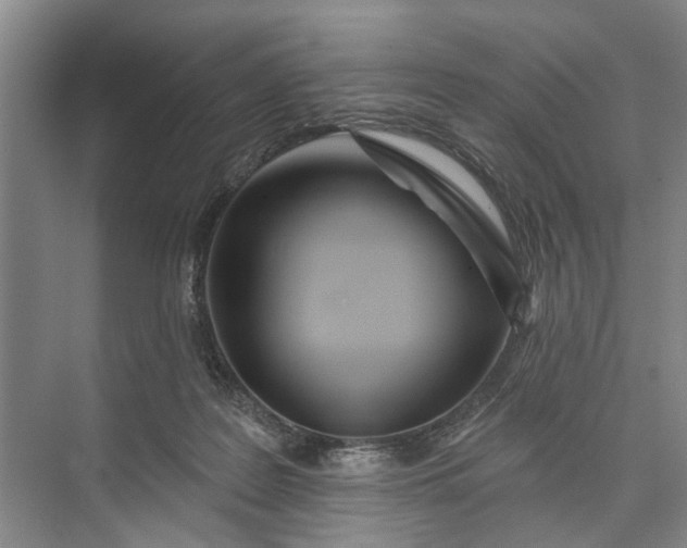 X0000073520219200608141008