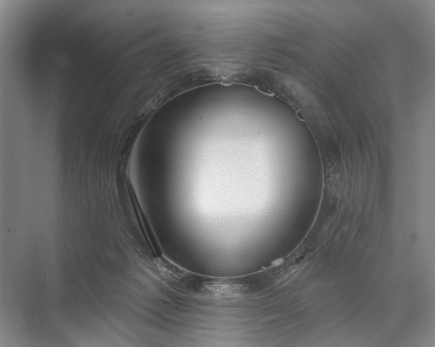 X0000073520221200608141008