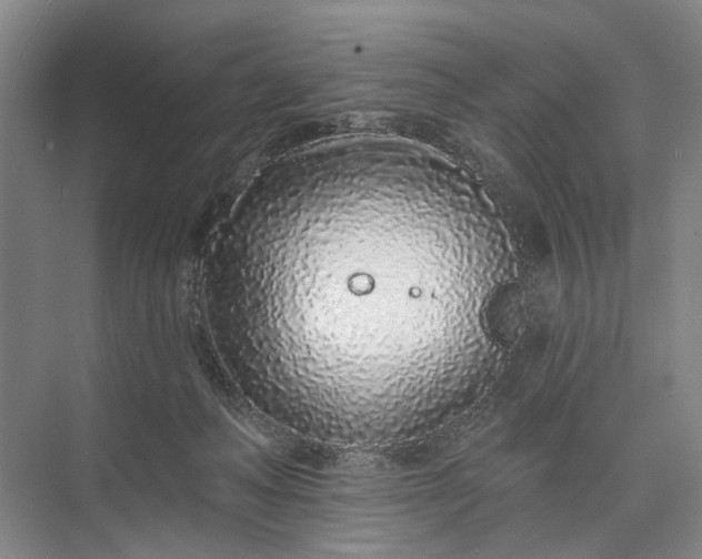 X0000073520222200608141008