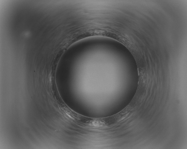 X0000073520223200608141008