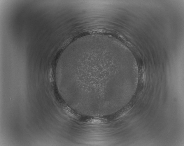 X0000073520224200608141008