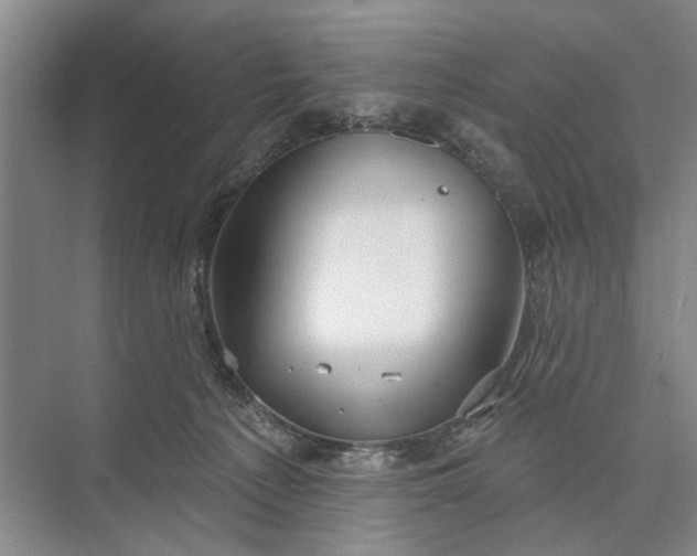 X0000073520225200608141008