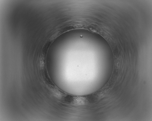 X0000073520226200608141008