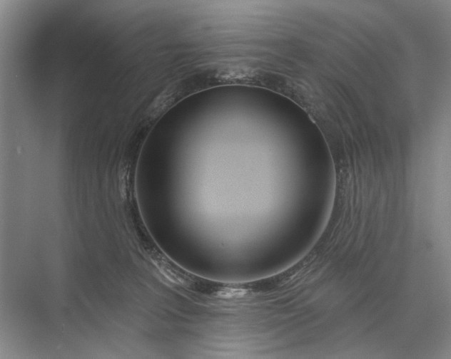 X0000073520227200608141008