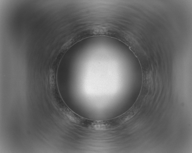 X0000073520228200608141008