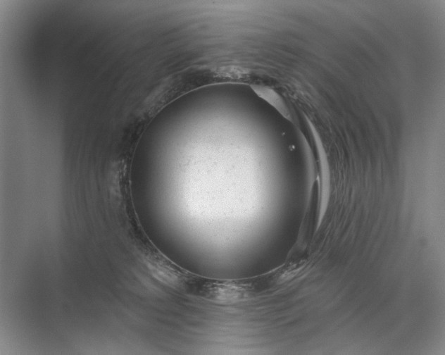 X0000073520229200608141008