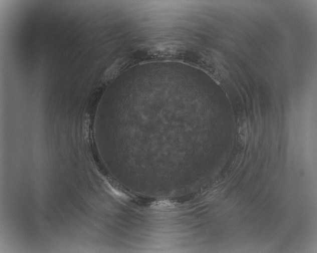 X0000073520231200608141008