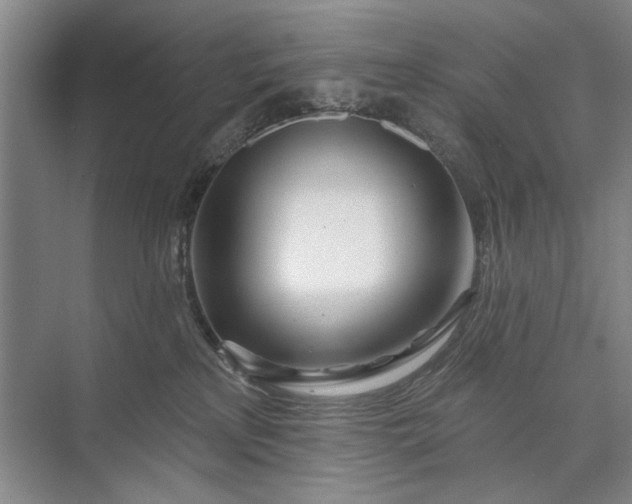 X0000073520233200608141008