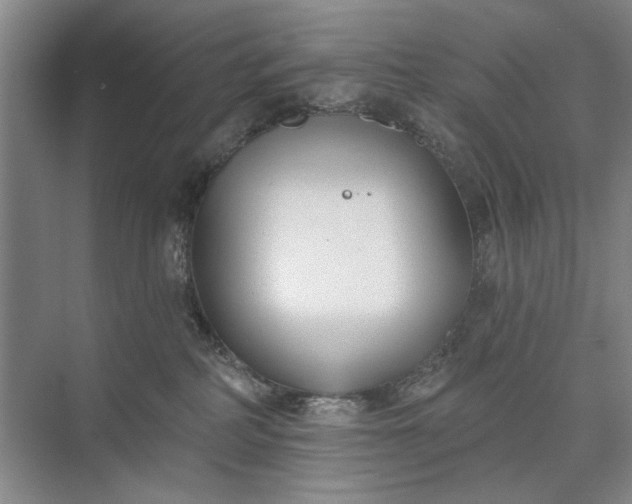 X0000073520234200608141008