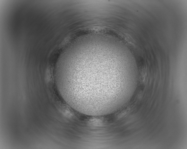 X0000073520236200608141008