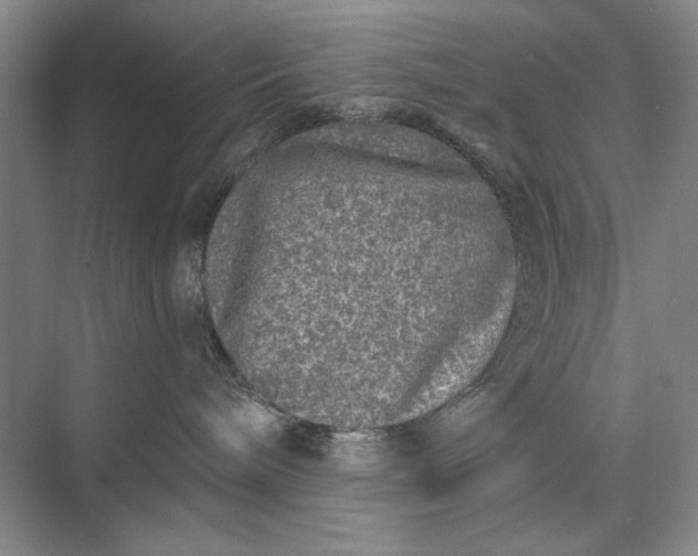 X0000073520240200608141008