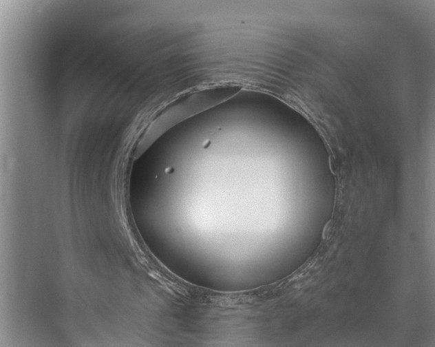 X0000073520241200608141007