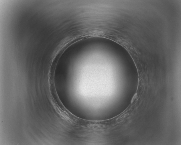 X0000073520242200608141007