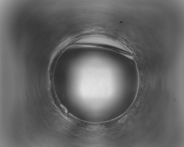 X0000073520245200608141007