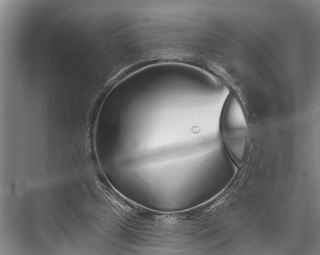 X0000073520249200608141007