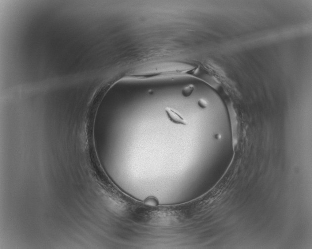 X0000073520250200608141007