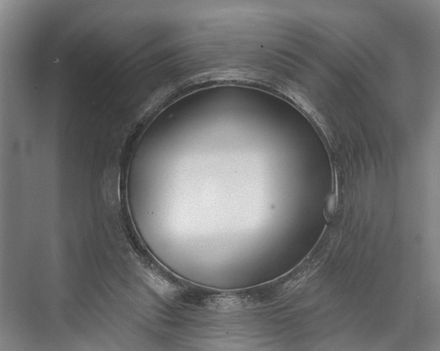 X0000073520253200608141007