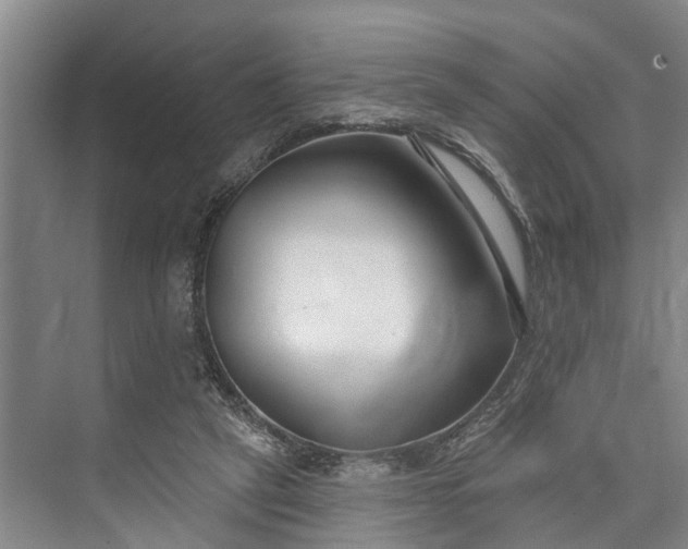 X0000073520257200608141008