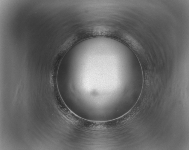 X0000073520258200608141008