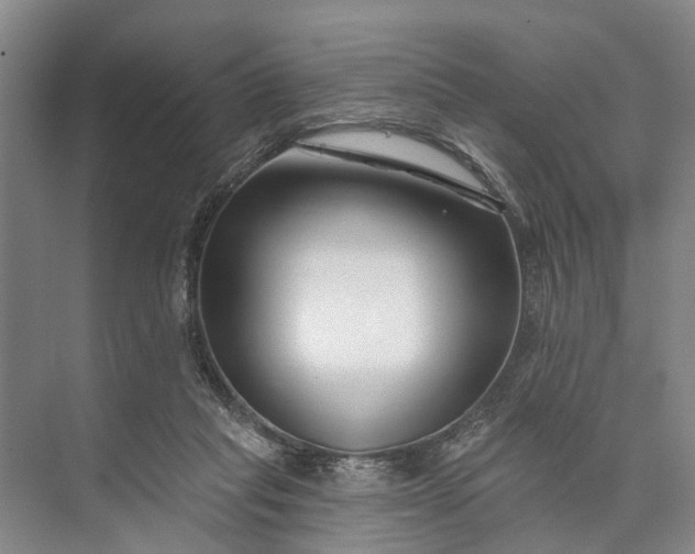 X0000073520261200608141008