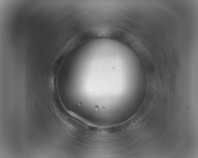 X0000073520262200608141008