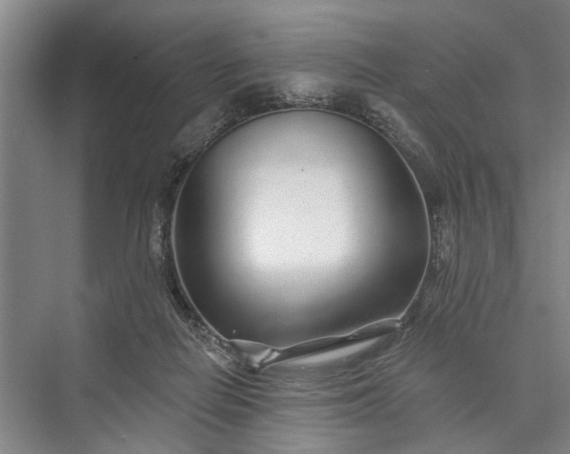 X0000073520266200608141008