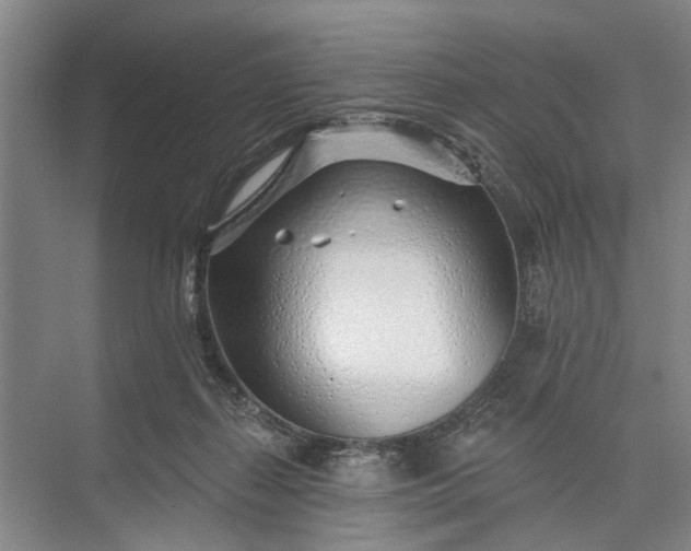 X0000073520267200608141008